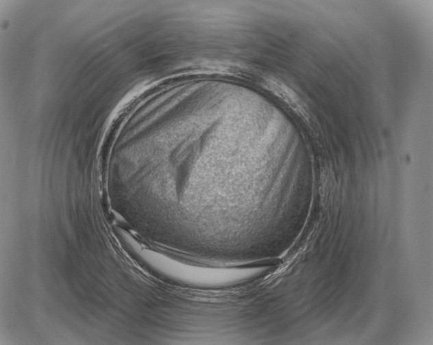 X0000085261172200703231708