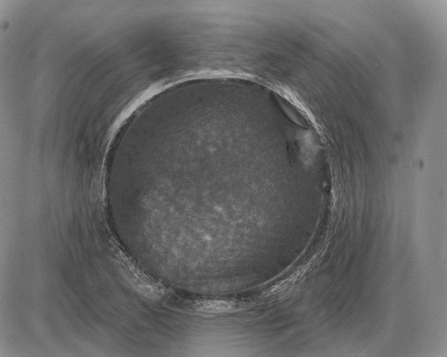 X0000085261173200703231708