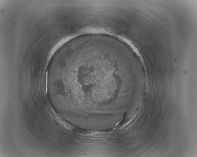 X0000085261175200703231708