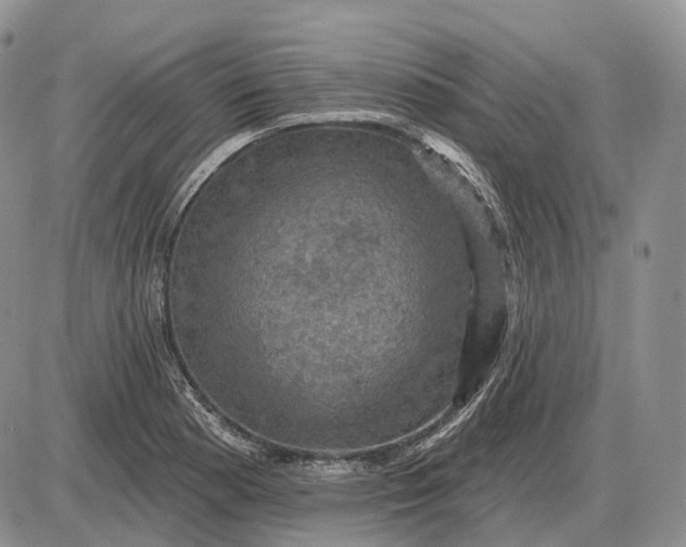 X0000085261177200703231708