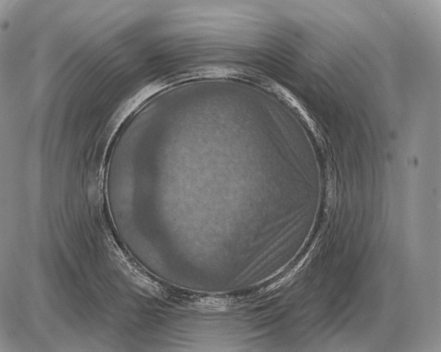 X0000085261178200703231707