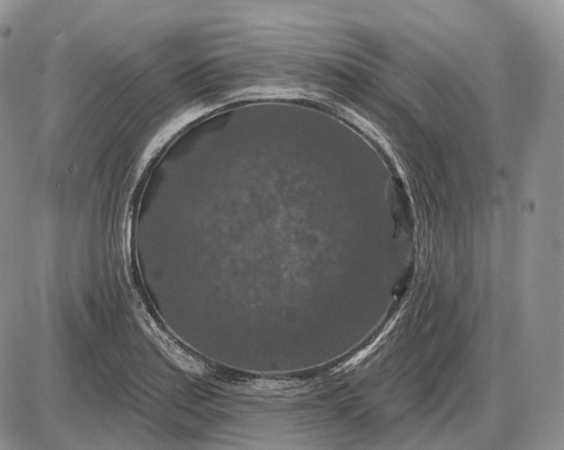 X0000085261179200703231707