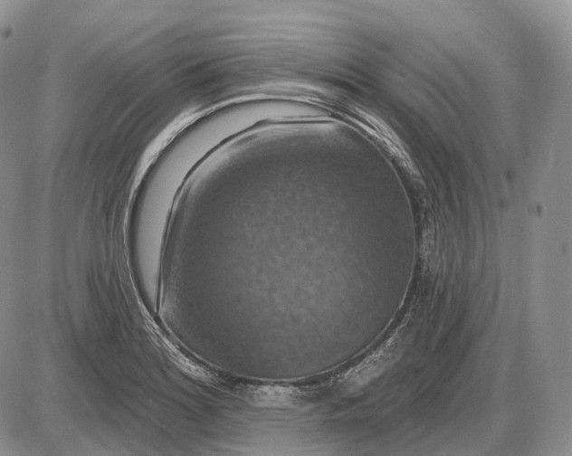 X0000085261180200703231707