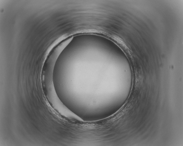 X0000085261181200703231707