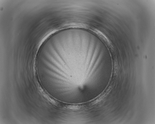 X0000085261182200703231707