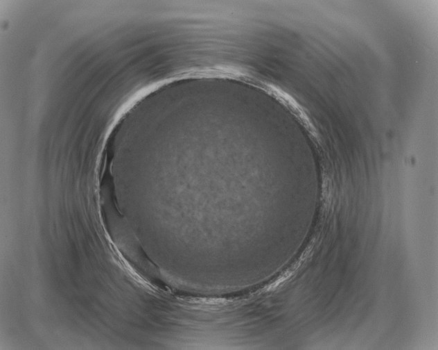 X0000085261184200703231707