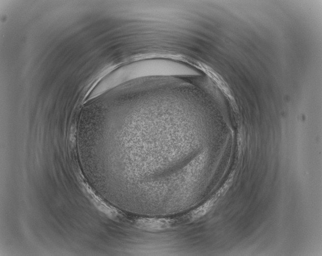 X0000085261185200703231707