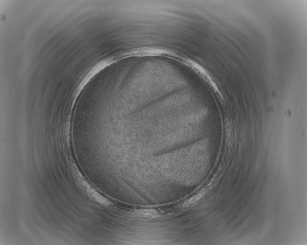 X0000085261186200703231707