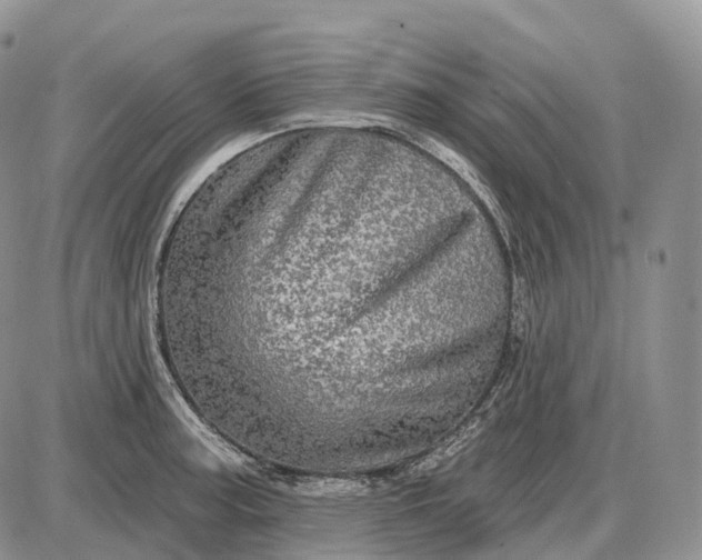 X0000085261187200703231707