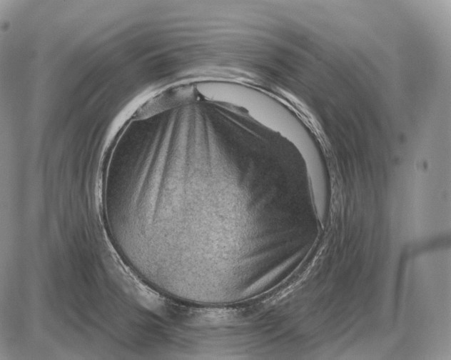 X0000085261188200703231707