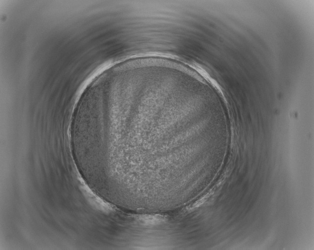 X0000085261189200703231707