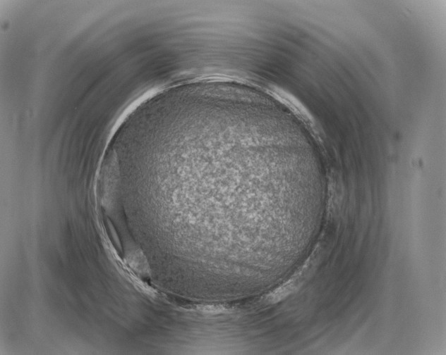 X0000085261190200703231707