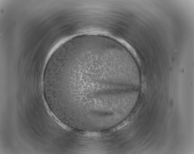 X0000085261191200703231707