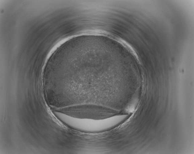 X0000085261192200703231707