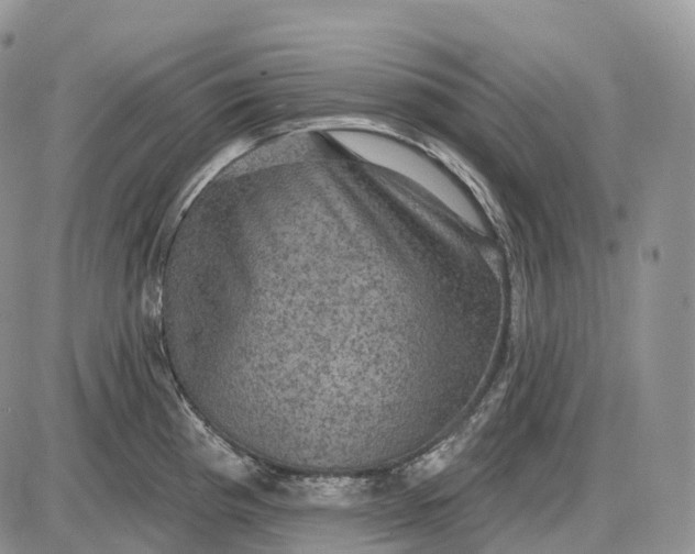 X0000085261193200703231707