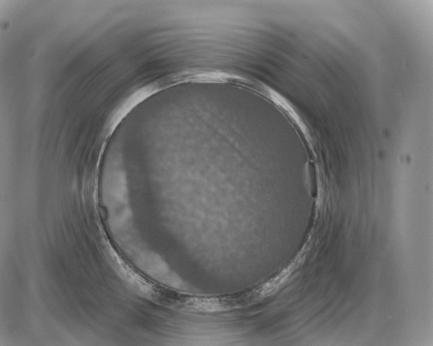 X0000085261194200703231707