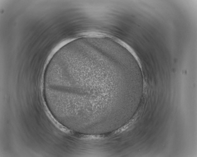 X0000085261195200703231707