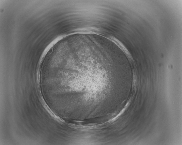 X0000085261196200703231707