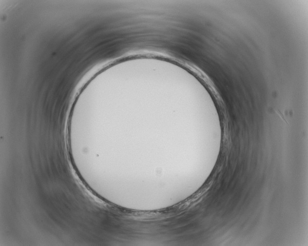 X0000085261199200703231707