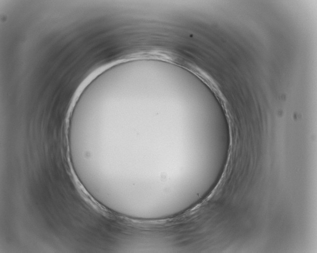 X0000085261200200703231707