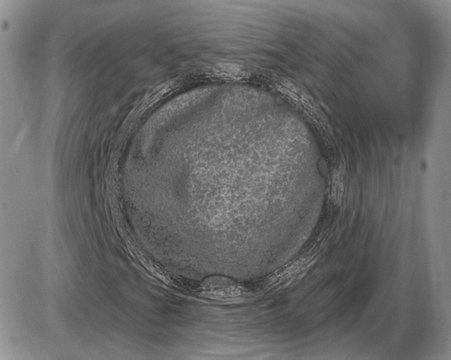 X0000085261201200703231706