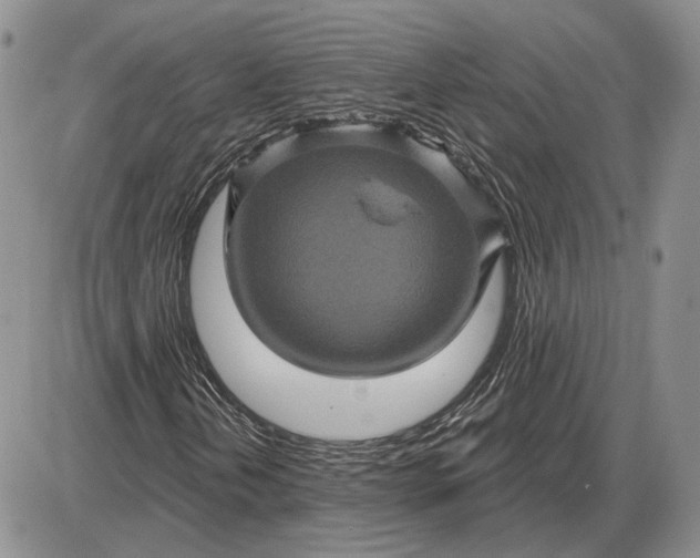 X0000085261202200703231706