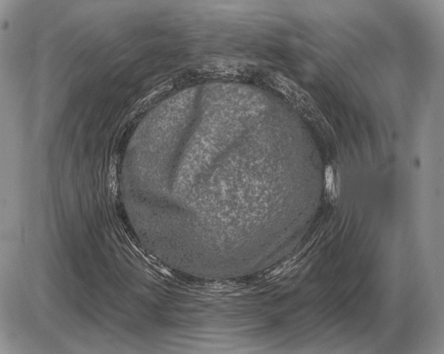 X0000085261203200703231706