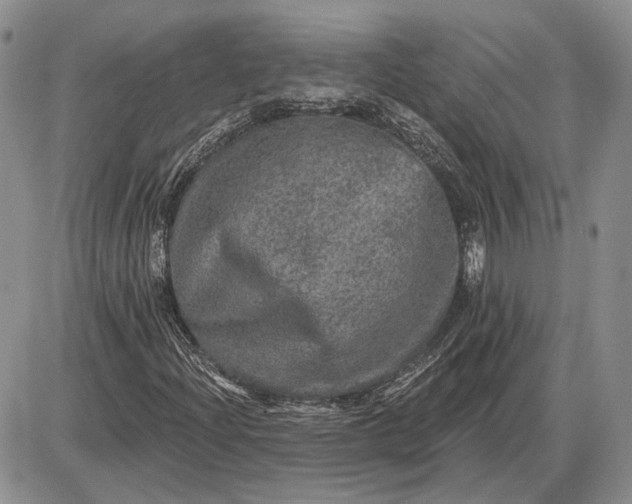 X0000085261204200703231706