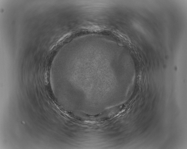 X0000085261205200703231706