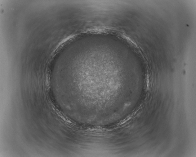 X0000085261206200703231706