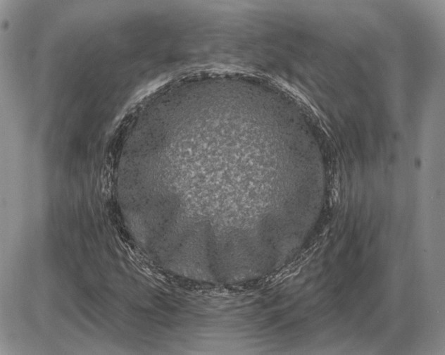 X0000085261207200703231706