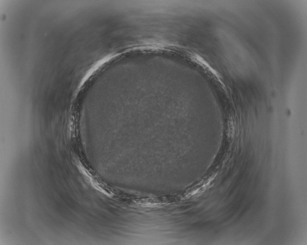 X0000085261208200703231706