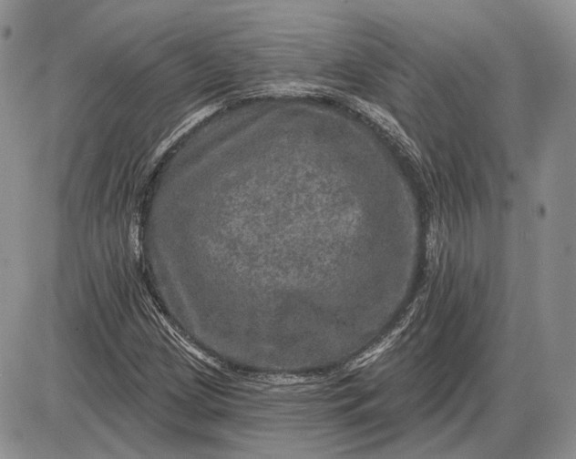 X0000085261209200703231706