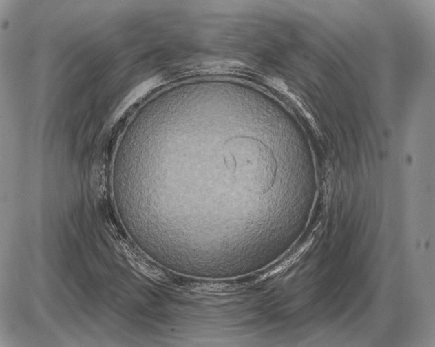 X0000085261211200703231707