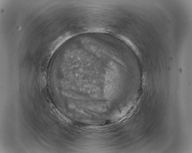 X0000085261212200703231707