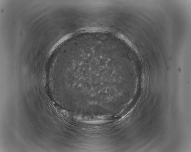 X0000085261213200703231707