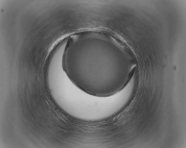 X0000085261214200703231707