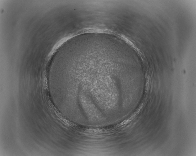 X0000085261215200703231707