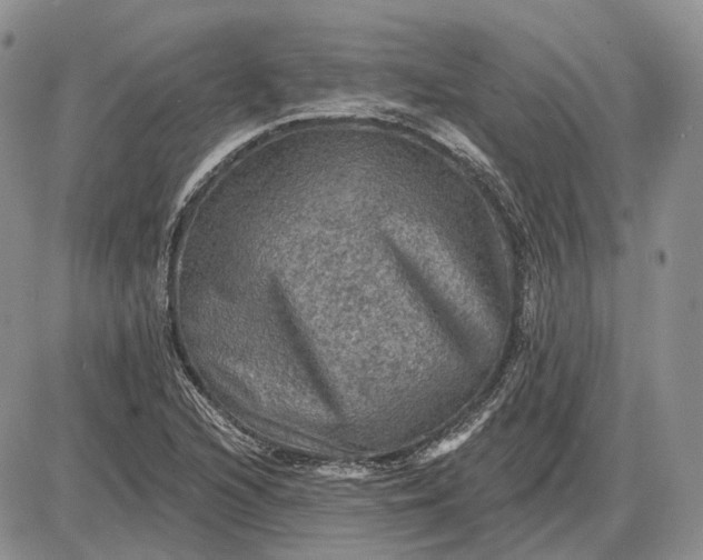 X0000085261216200703231707