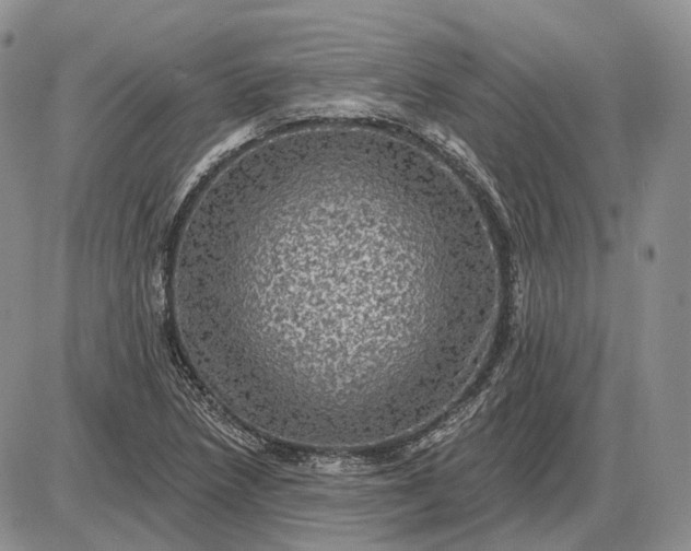 X0000085261218200703231707