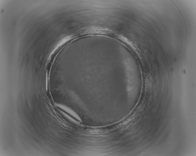 X0000085261219200703231707