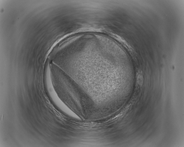 X0000085261220200703231707