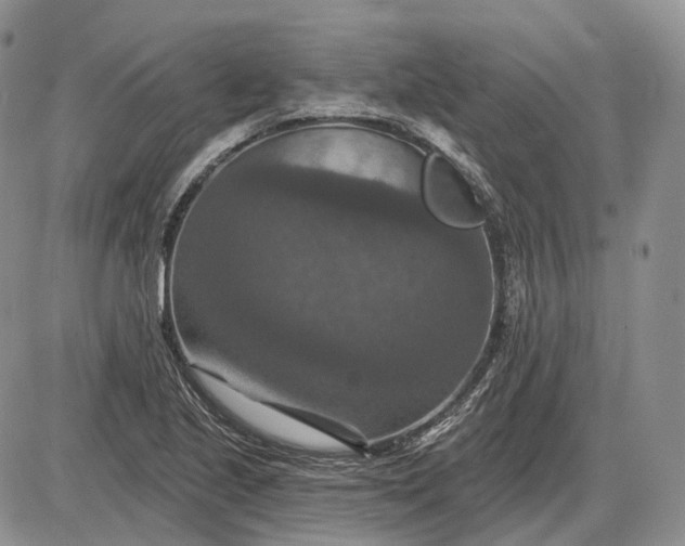 X0000085261221200703231707