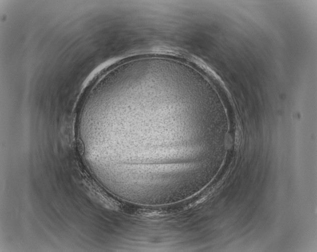 X0000085261222200703231707