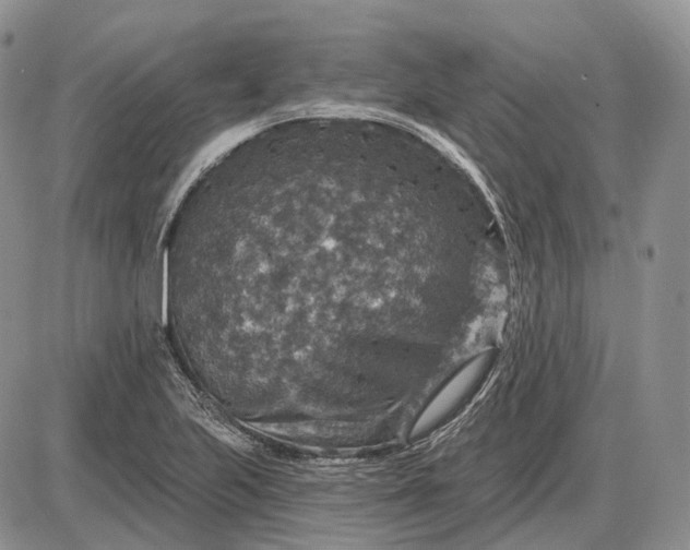 X0000085261223200703231707