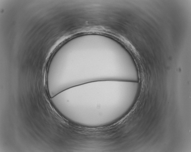 X0000085261224200703231707