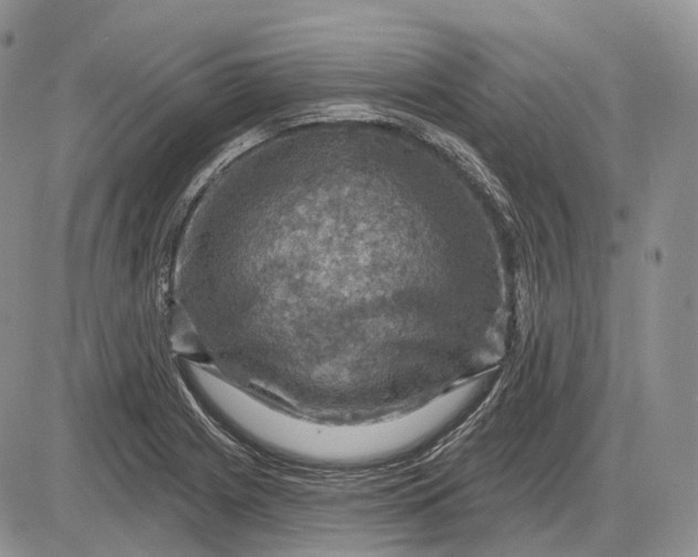 X0000085261225200703231707