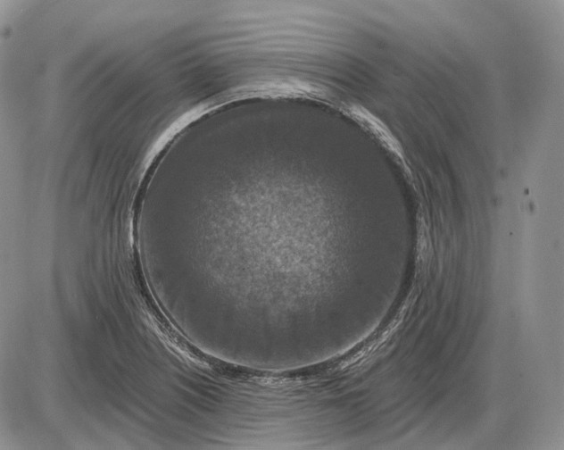 X0000085261226200703231707