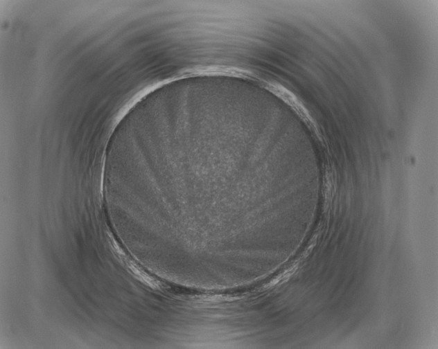 X0000085261228200703231707