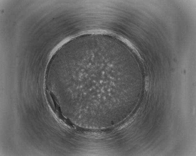 X0000085261229200703231707